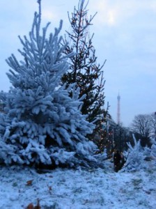 Paris-Kerst